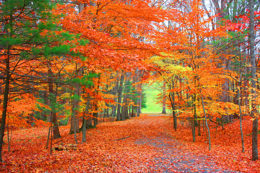 Autumn